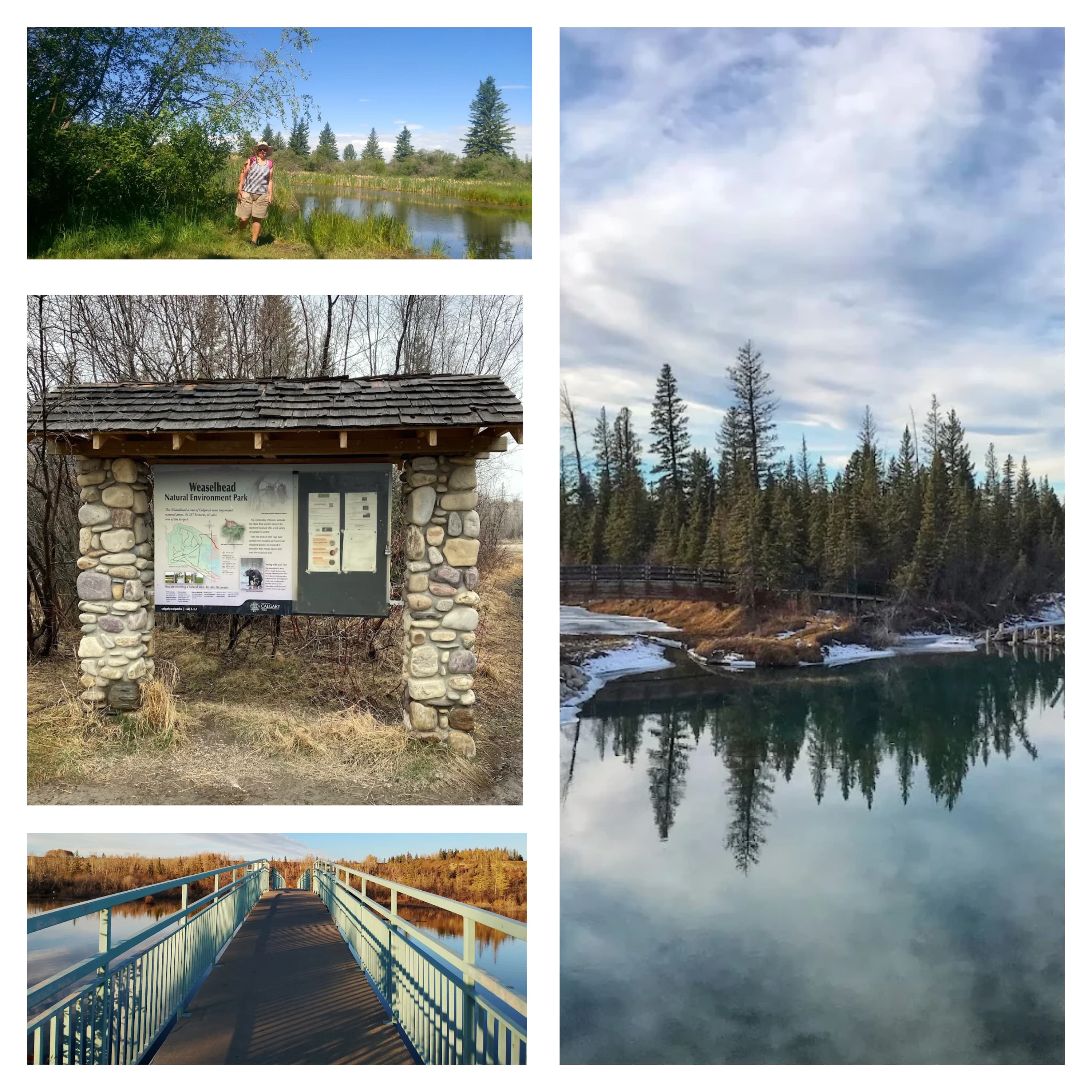 Weaselhead Flats Natural Environment Park